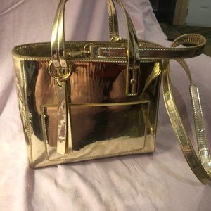 Francis Valentine Metallic Leather Satchel